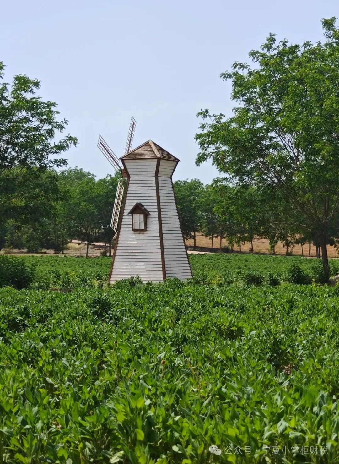 工商注冊(cè),代理記賬,企業(yè)稅籌,審計(jì)報(bào)告,資質(zhì)代辦