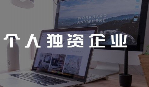 個(gè)人獨(dú)自企業(yè)